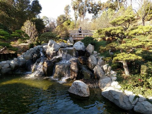 A serene garden scene featuring a waterfall, rocks, and lush greenery, with a person sitting on a bridge in the background.