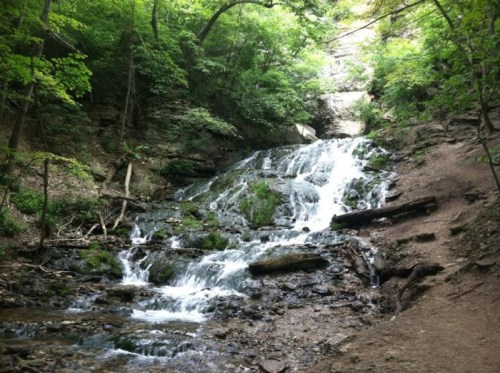 A serene waterfall cascading over rocks, surrounded by lush green trees and foliage.