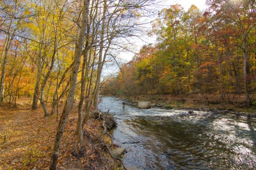A serene river flows through a forest with vibrant autumn foliage and trees lining the banks.