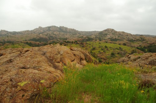 A rocky landscape with green grass and wildflowers, set against a backdrop of distant hills under a cloudy sky.
