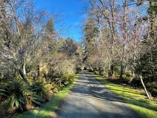 A serene gravel path lined with blooming trees and lush greenery under a clear blue sky.
