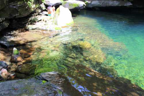 A serene natural pool surrounded by rocks and greenery, with sunlight reflecting on the clear water.