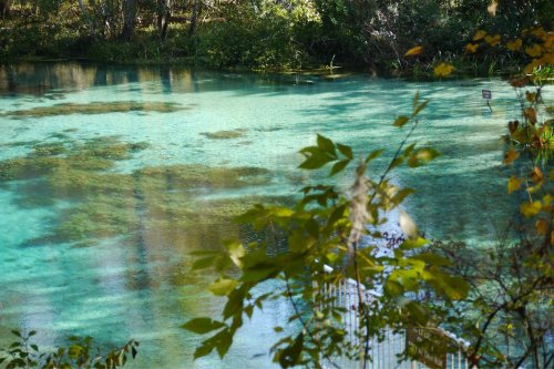 A serene, clear blue-green pond surrounded by lush greenery and trees, reflecting the natural beauty of the area.
