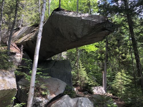 A large, flat rock balanced on a boulder, surrounded by lush green trees in a forest setting.