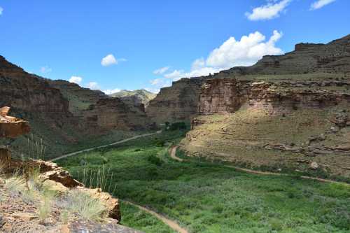 A scenic view of a canyon with green vegetation and a winding dirt path under a blue sky with fluffy clouds.