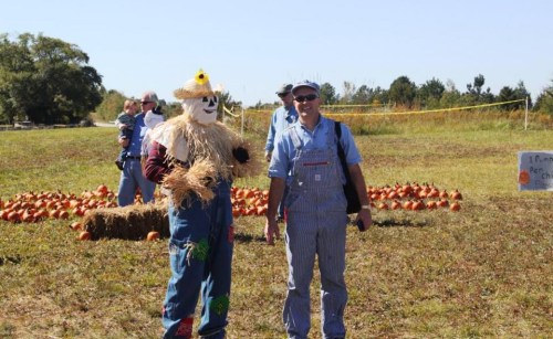 A scarecrow and a man in overalls stand in a pumpkin patch on a sunny day, with pumpkins scattered in the background.