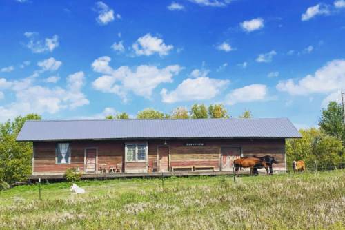 A rustic wooden house on a grassy field with horses grazing nearby under a blue sky with fluffy clouds.