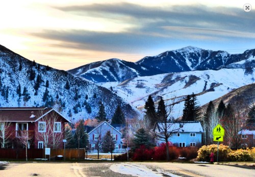 A scenic view of snow-covered mountains behind a residential area, with trees and a crosswalk sign in the foreground.