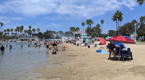 A busy beach scene with people swimming, sunbathing, and palm trees under a blue sky with scattered clouds.