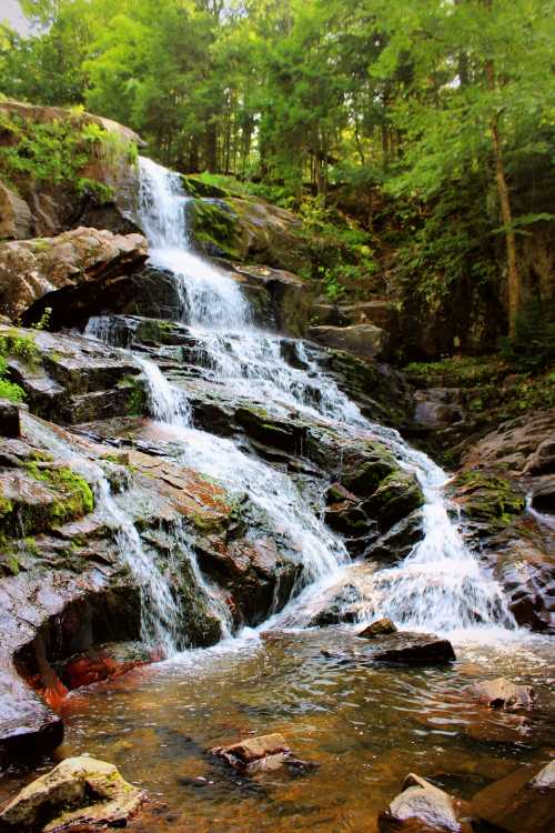 A serene waterfall cascading over rocky terrain, surrounded by lush green trees and a calm pool at the base.