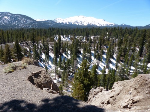 A scenic view of a mountainous landscape with snow-capped peaks and a dense forest of evergreen trees.