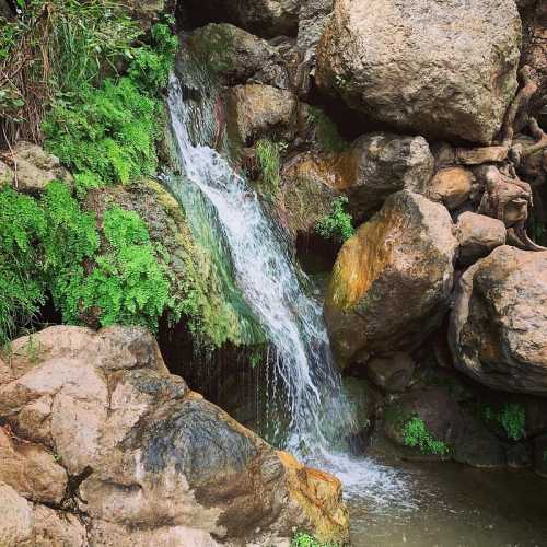 A serene waterfall cascading over rocks, surrounded by lush green foliage.