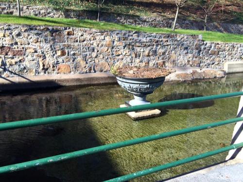 A decorative stone planter sits in shallow water, surrounded by a stone wall and green grass.