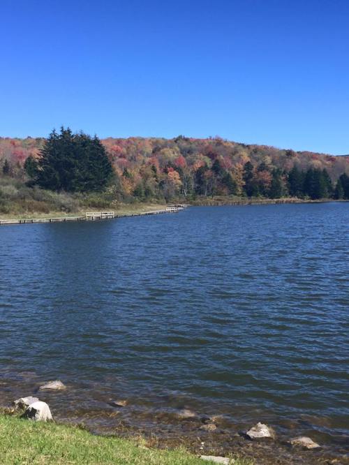 A serene lake surrounded by trees with autumn foliage under a clear blue sky.