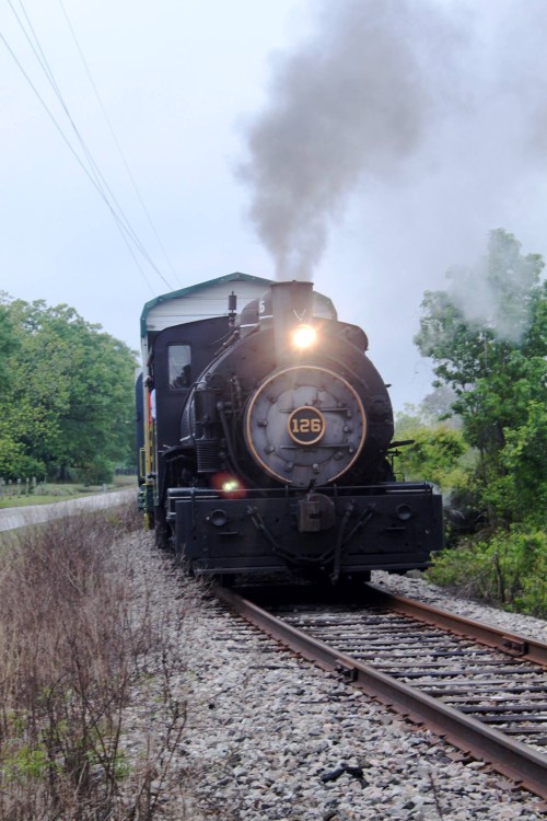 A vintage steam locomotive with smoke billowing from its chimney travels along a railway surrounded by greenery.