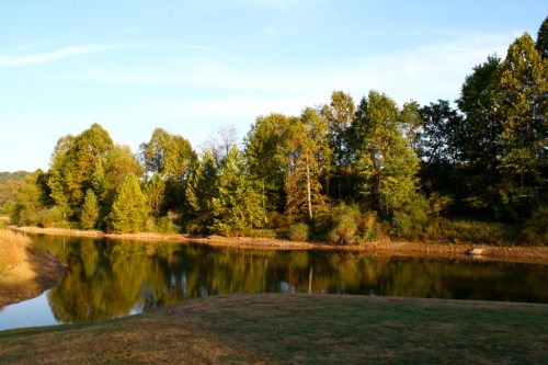 A serene river scene surrounded by lush green trees under a clear blue sky. Reflections shimmer on the water's surface.