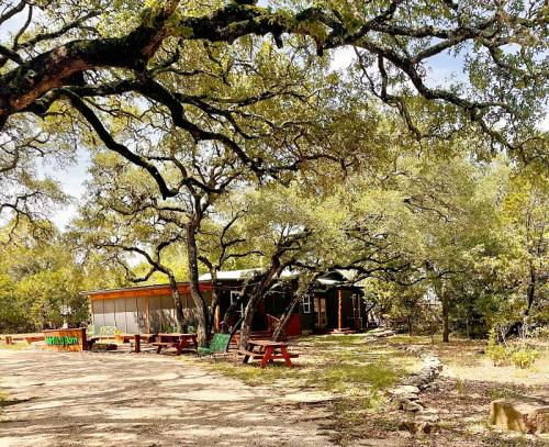 A rustic building surrounded by large trees and picnic tables, set in a natural outdoor environment.