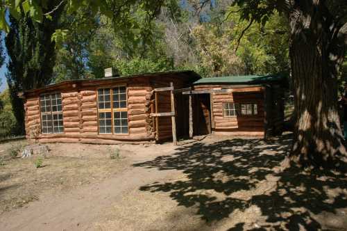 A rustic log cabin surrounded by trees, featuring large windows and a green roof.