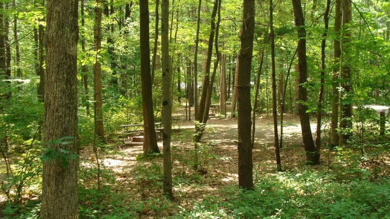 Watkins Glen State Park Campground, Watkins Glen