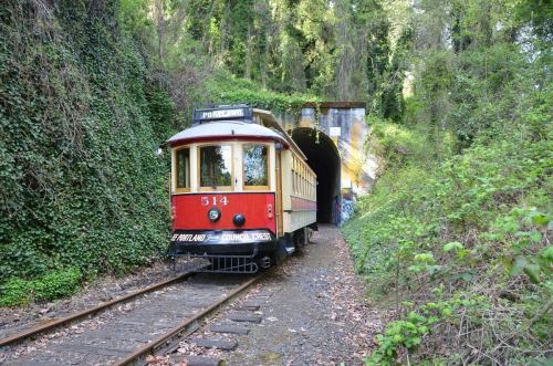 A vintage red and cream train car sits on tracks near a tunnel, surrounded by lush greenery and graffiti.