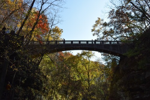 A stone bridge spans a colorful forested canyon under a clear blue sky, surrounded by autumn foliage.