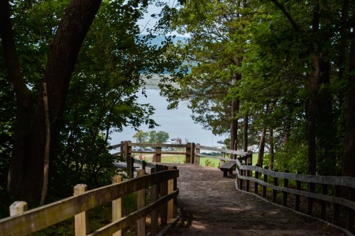 A wooded path leads to a serene lake, framed by trees and a wooden railing.