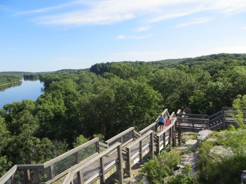 A wooden walkway leads down through lush greenery to a river, under a clear blue sky.