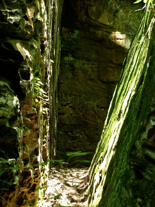 Narrow passage between moss-covered rock formations in a natural setting. Sunlight filters through, illuminating the path.