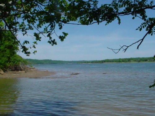 A serene river scene with calm water, sandy shore, and green trees under a clear blue sky.