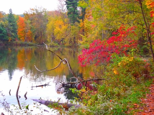 A serene lake surrounded by vibrant autumn foliage, featuring red and orange leaves reflecting on the water's surface.