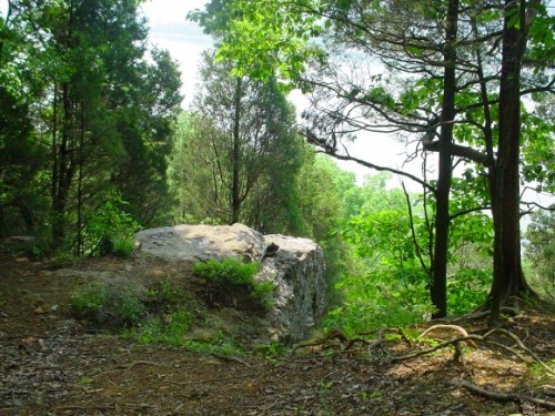 A rocky outcrop surrounded by lush green trees in a serene forest setting.