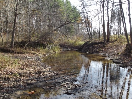 A serene stream flows through a wooded area, surrounded by trees and autumn foliage. Reflections shimmer on the water.
