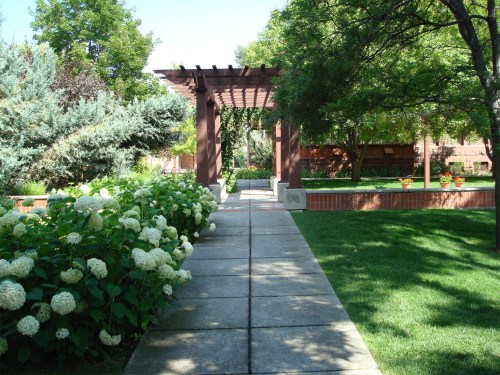 A serene garden path lined with lush greenery and blooming white flowers, leading to a shaded pergola.