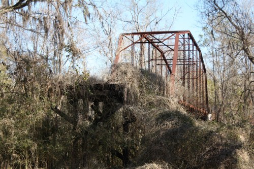An abandoned metal bridge overgrown with vines and surrounded by trees in a rural setting.