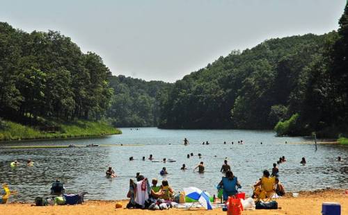 A sandy beach by a lake with people swimming and relaxing under trees on a sunny day.