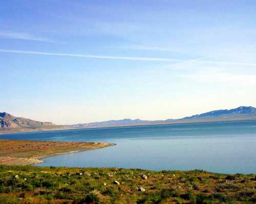 A serene landscape featuring a calm lake bordered by green grass and distant mountains under a clear blue sky.