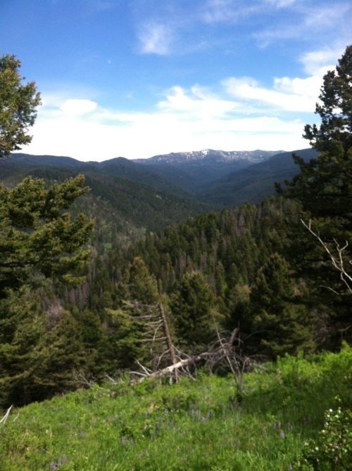 A scenic view of a lush green valley surrounded by mountains under a clear blue sky.