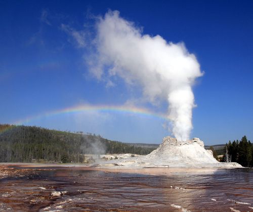 A geyser erupts steam against a clear blue sky, with a rainbow arcing above and a landscape of trees in the background.