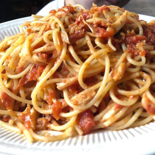 A close-up of a plate of spaghetti topped with a rich tomato sauce.