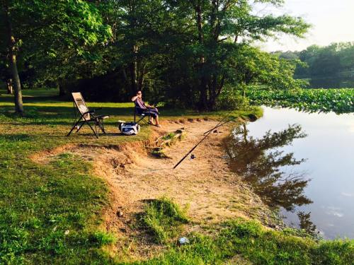 A person sits on a chair by a calm lake, fishing with a rod, surrounded by trees and greenery.