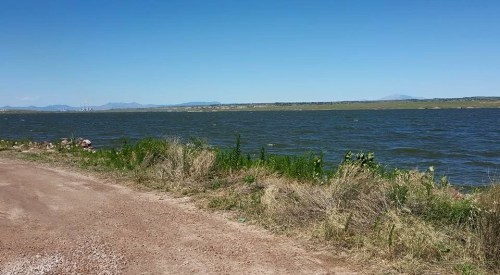 A serene lakeside view with gentle waves, surrounded by grass and distant mountains under a clear blue sky.