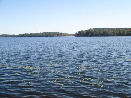 A serene lake with calm waters, surrounded by green hills and a clear blue sky. Lily pads float on the surface.