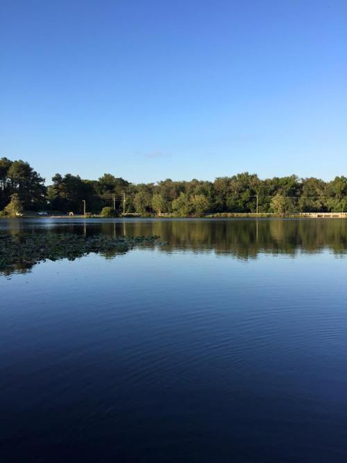 A calm lake reflecting blue skies and trees, with a serene landscape in the background.