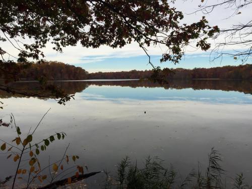 A serene lake surrounded by autumn foliage, reflecting the sky and trees on its calm surface.