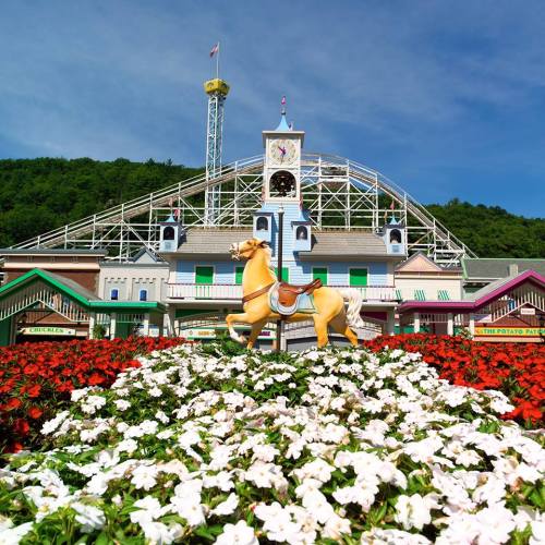 A colorful amusement park entrance with a carousel horse and vibrant flower beds under a clear blue sky.
