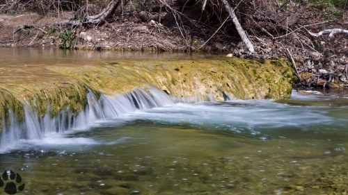 A serene stream flows over a rocky ledge, surrounded by trees and natural greenery.