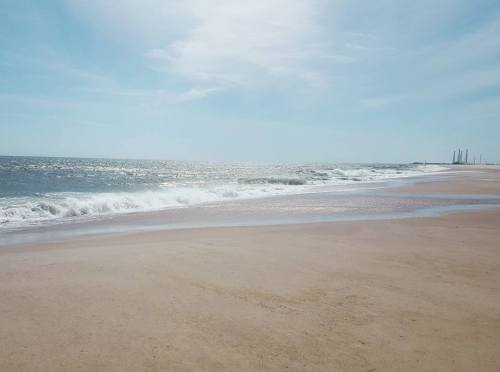 A serene beach scene with gentle waves lapping at the shore under a clear blue sky.