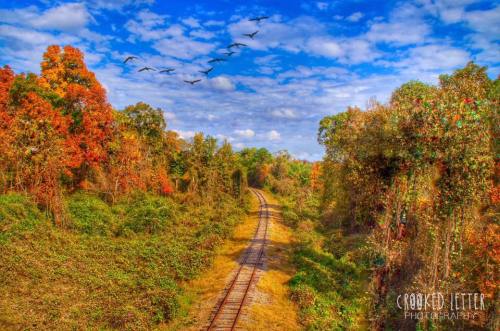 A scenic view of a railway track surrounded by colorful autumn foliage and a blue sky with flying birds.