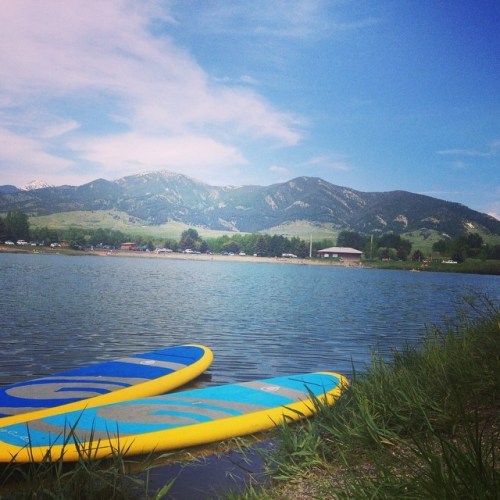 Two blue paddleboards rest on the shore of a calm lake, surrounded by green grass and mountains under a blue sky.