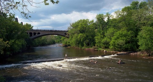 A serene river scene with a bridge overhead, surrounded by lush green trees and a person standing by the water's edge.